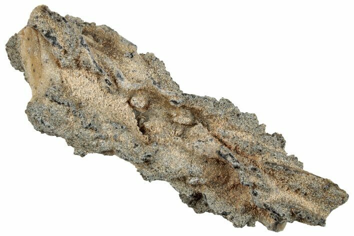 Fulgurite - Petrified Lightning #260175